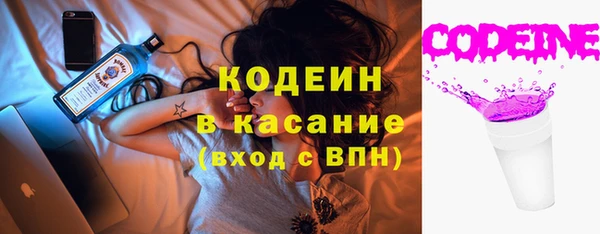 крисы Елабуга