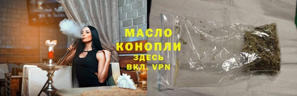 крисы Елабуга