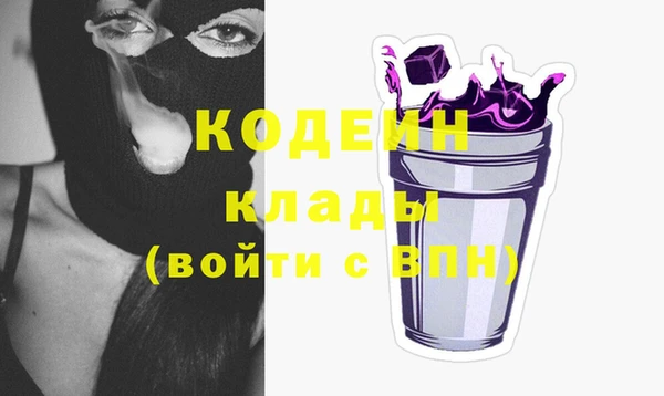 крисы Елабуга