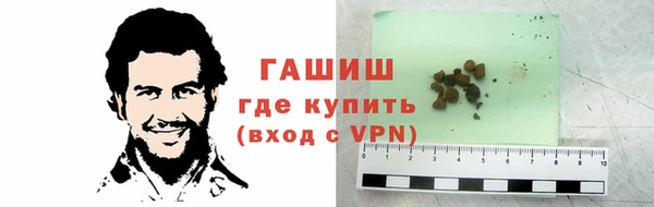 крисы Елабуга