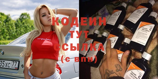 крисы Елабуга