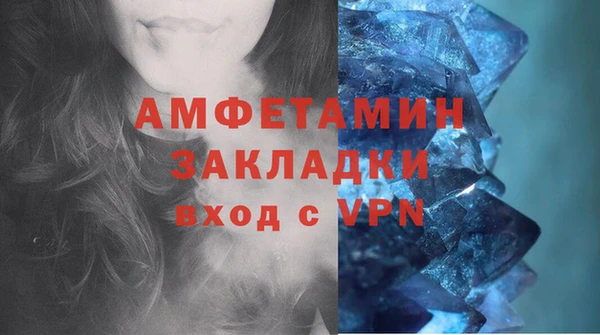 крисы Елабуга
